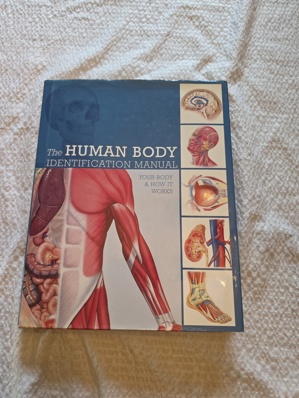 The Human Body Identification Manual - Blue Illustrated Cover